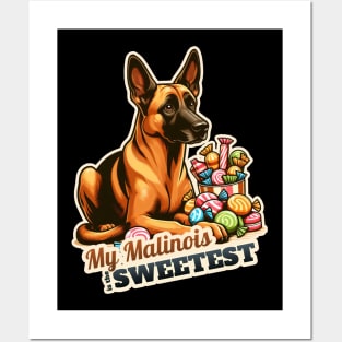 Belgian Malinois confectioner Posters and Art